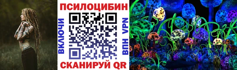 как найти   кракен как войти  Псилоцибиновые грибы Psilocybine cubensis  Чкаловск 
