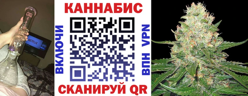 Бошки марихуана план  Чкаловск 